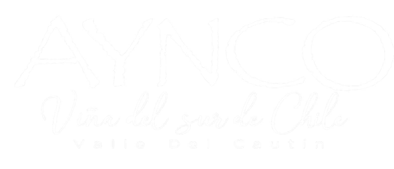 Aynco